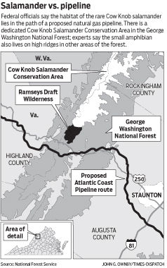 Salamander-pipeline map